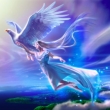 Fly with Air